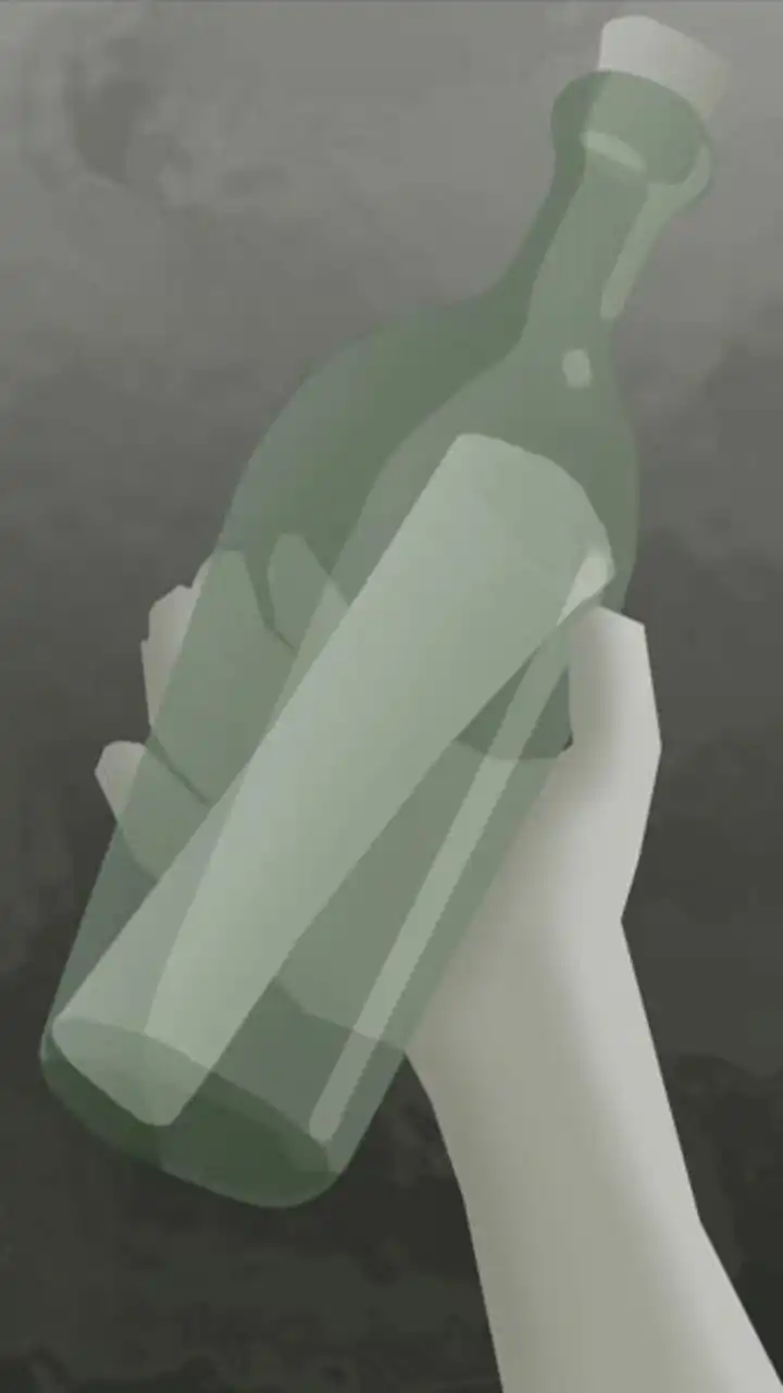 The Bottle Intro 3