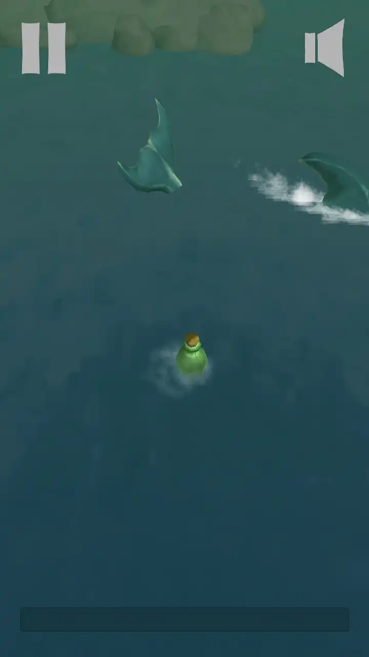 The Bottle Shark