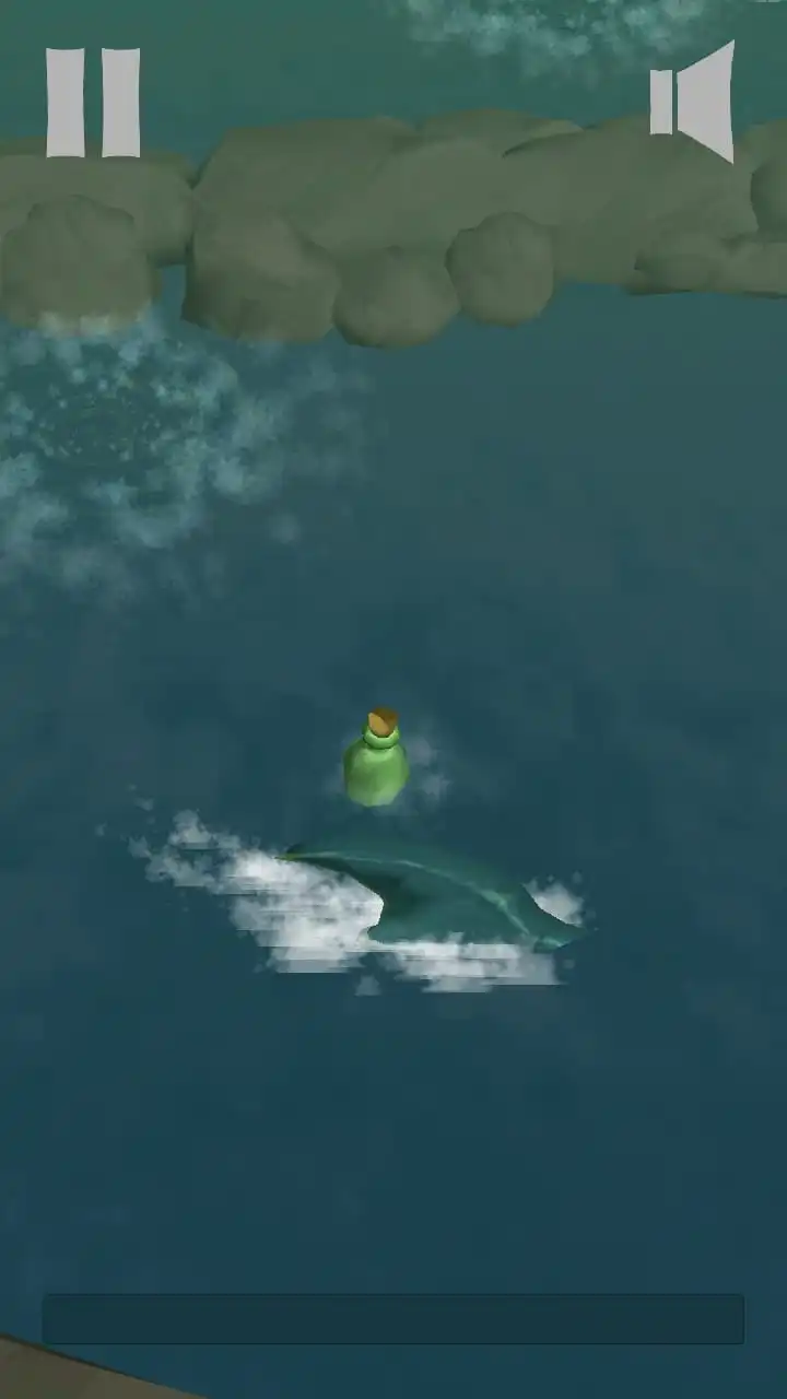 The Bottle Vortex